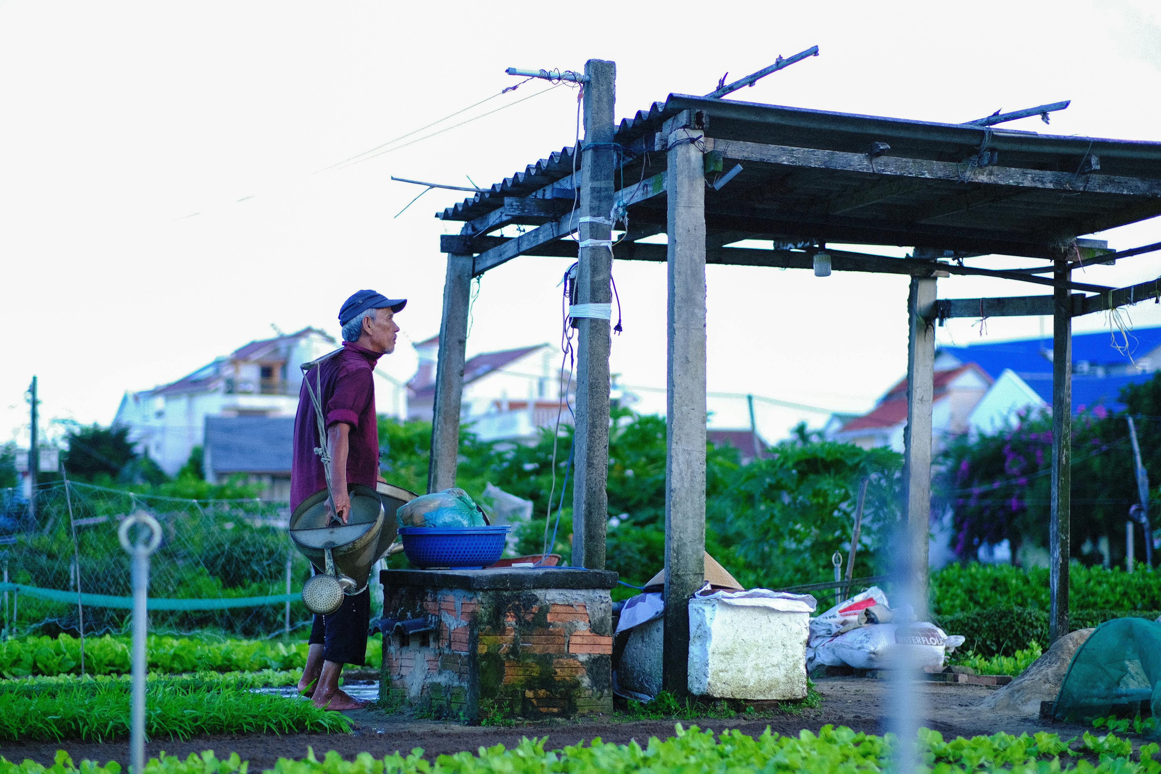 Trung tâm nghiên cứu văn học, phát triển nhà văn Việt Nam