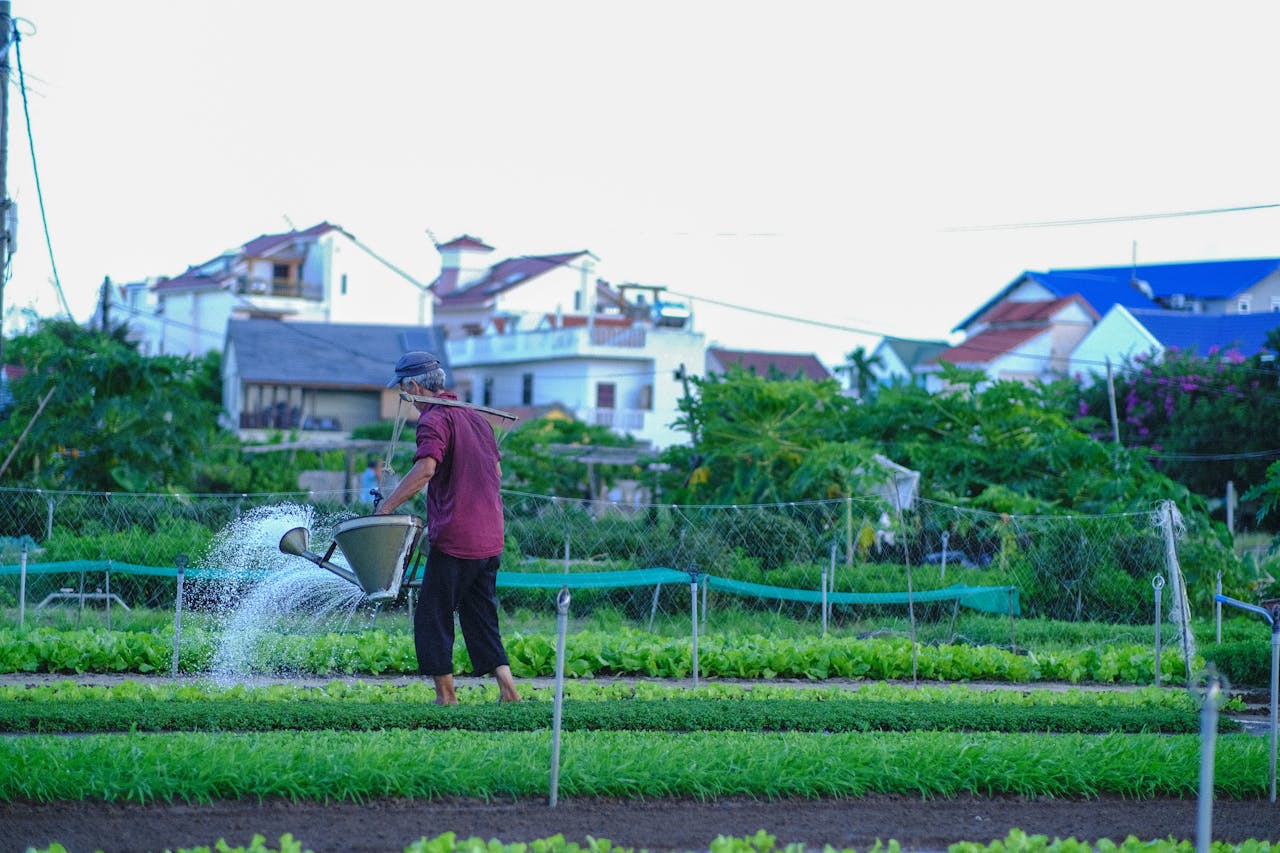 Gieo trồng hạnh phúc | Lời nói đầu