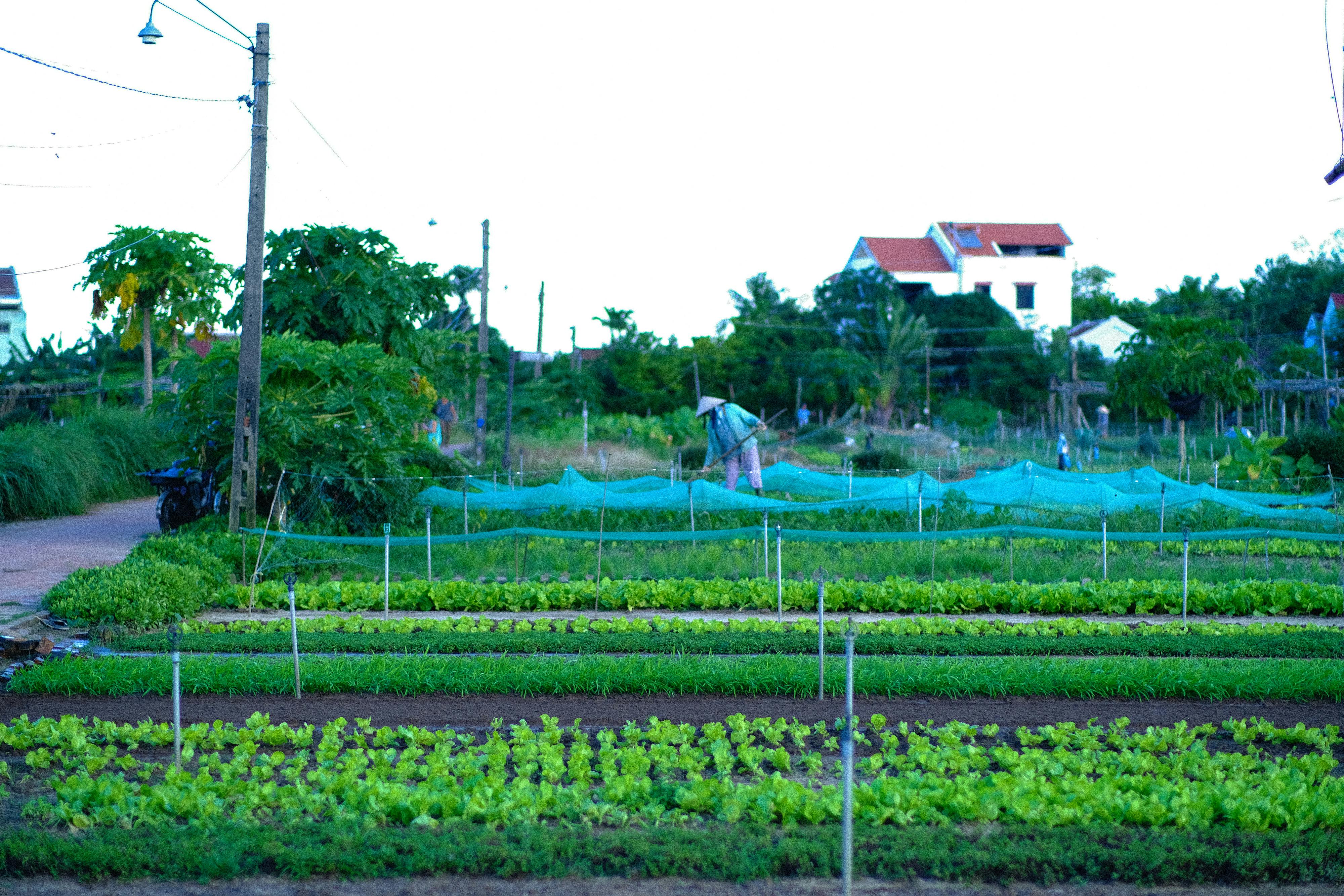 Khách sạn gần biển Phú Quốc không nên bỏ lỡ 770 – viet thue, marketing, khach san, b2b, kenh OTA, free booking links, channel manager, property management system, du lich mien nam, du lich phu quoc gan bien.