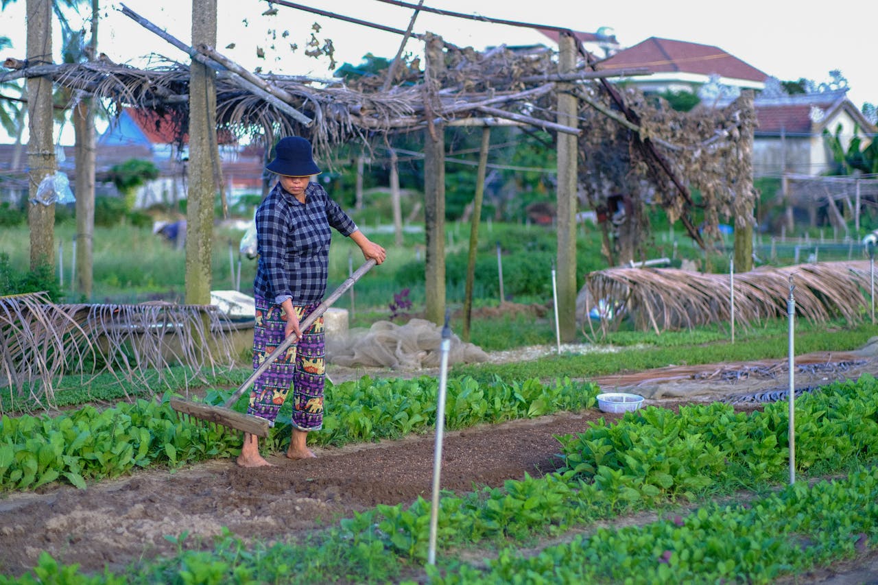 Tìm khủng long trên Sao Kim và lời cảnh báo