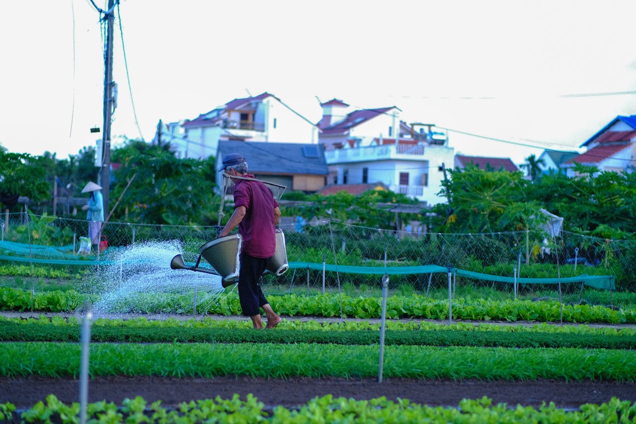 Edgar Trái tim thú tội