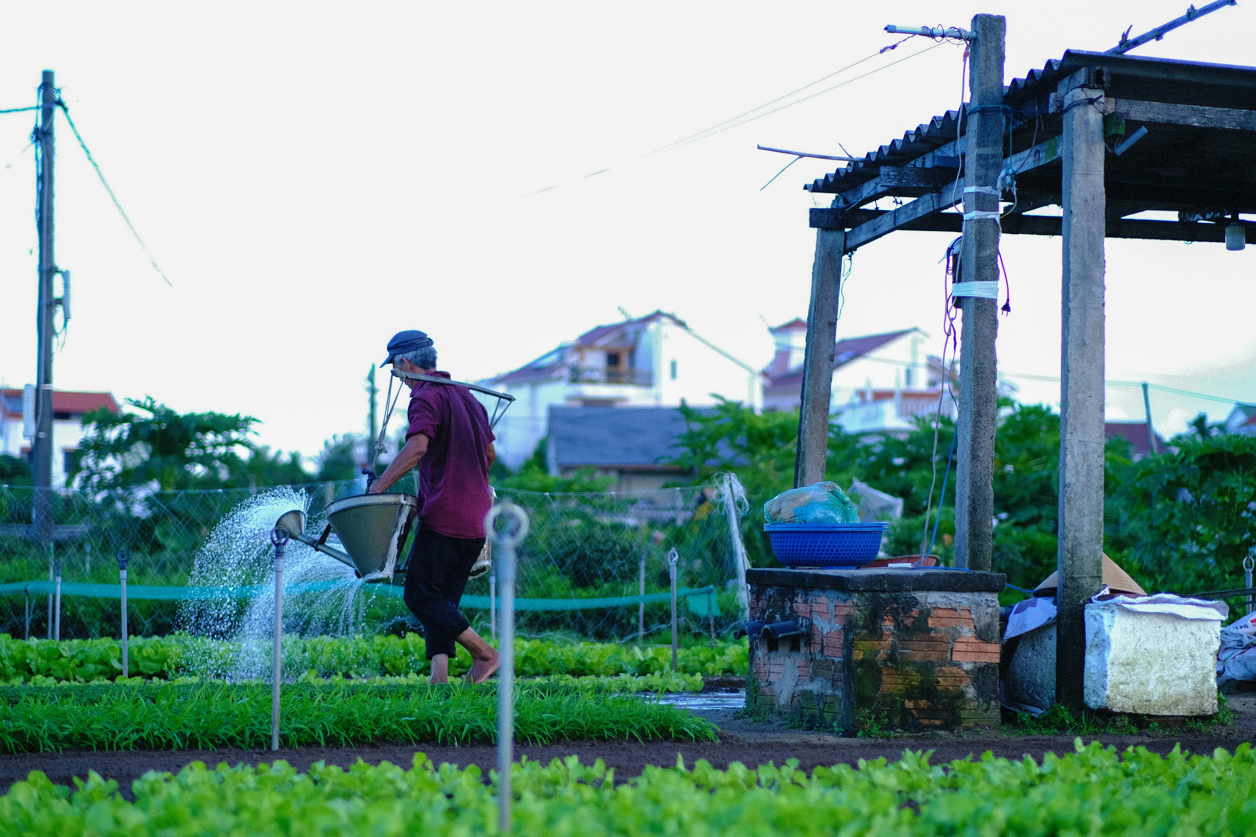 Danh sách theo thẻ doc-truyen-conan, trang 39