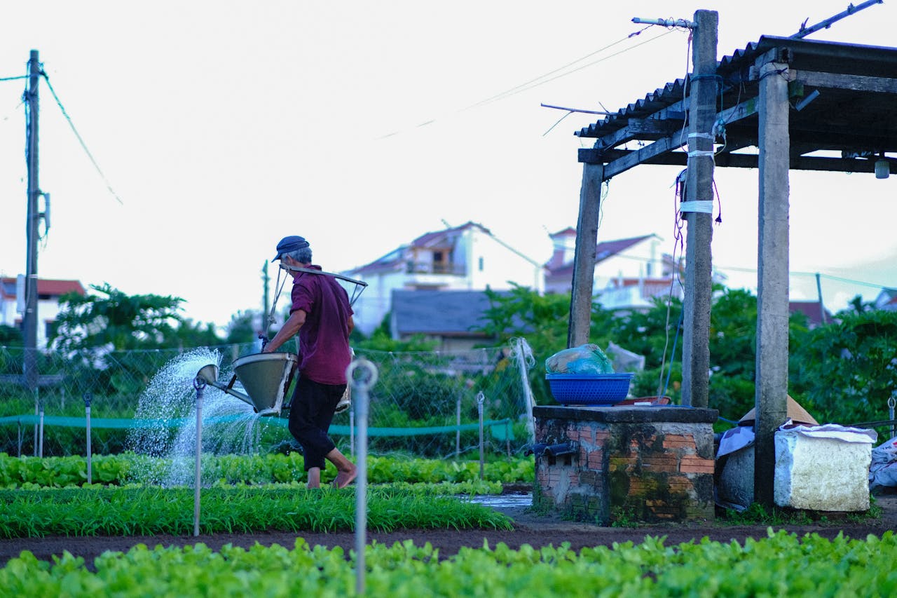 Gieo trồng hạnh phúc | Chương 50