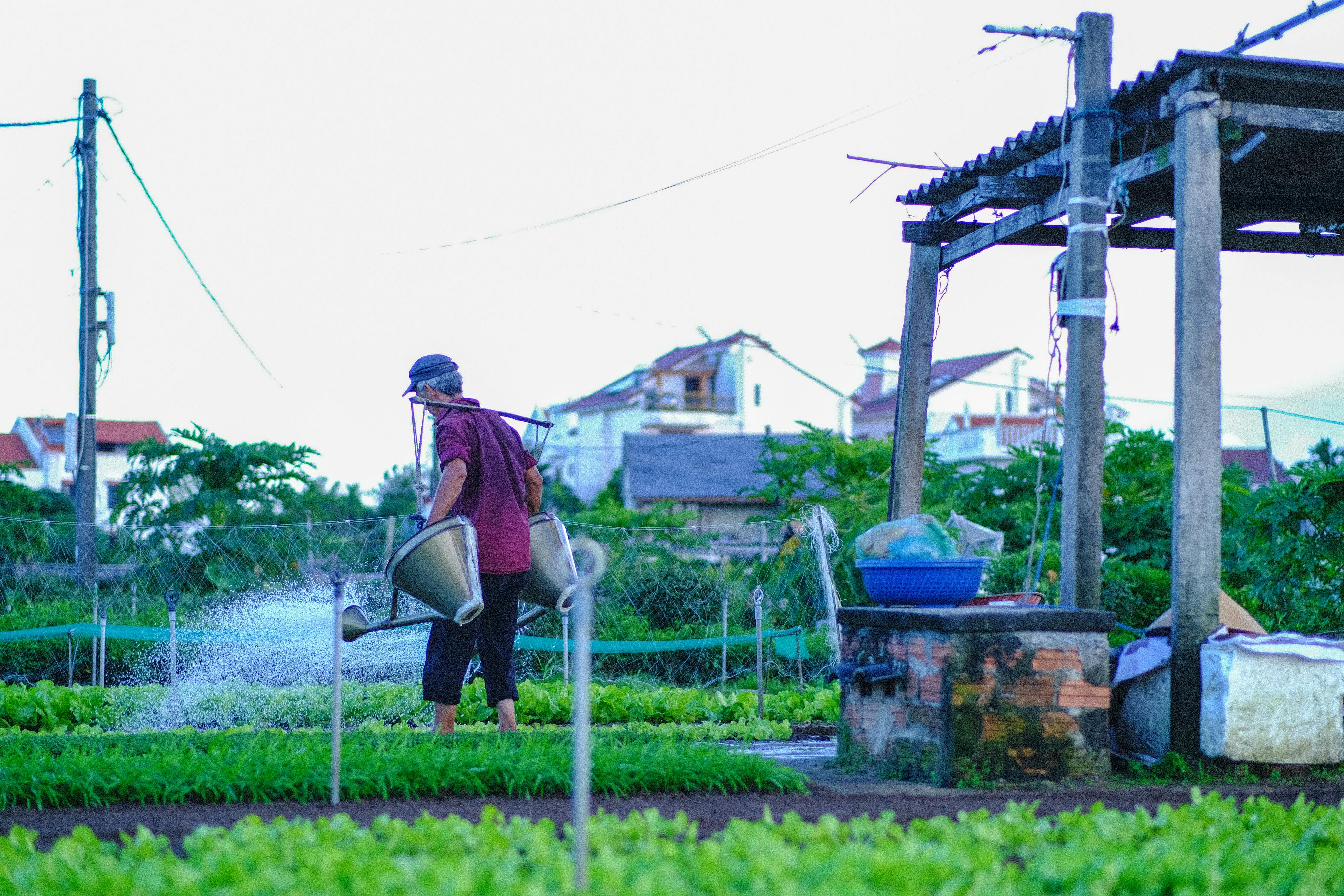 Danh sách theo thẻ nghien-cuu-lich-su, trang 2