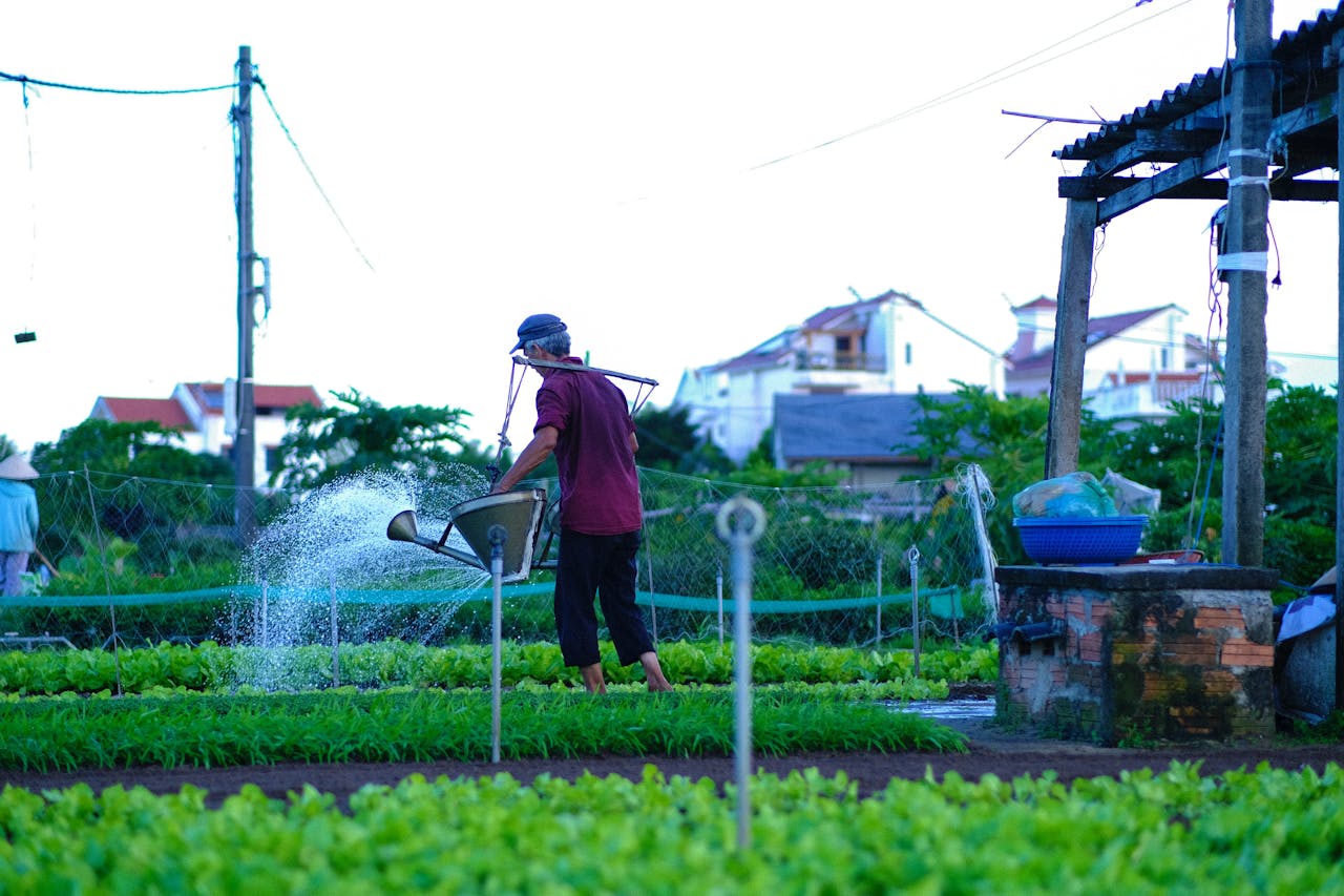 Niên lịch miền gió cát | Chương 06