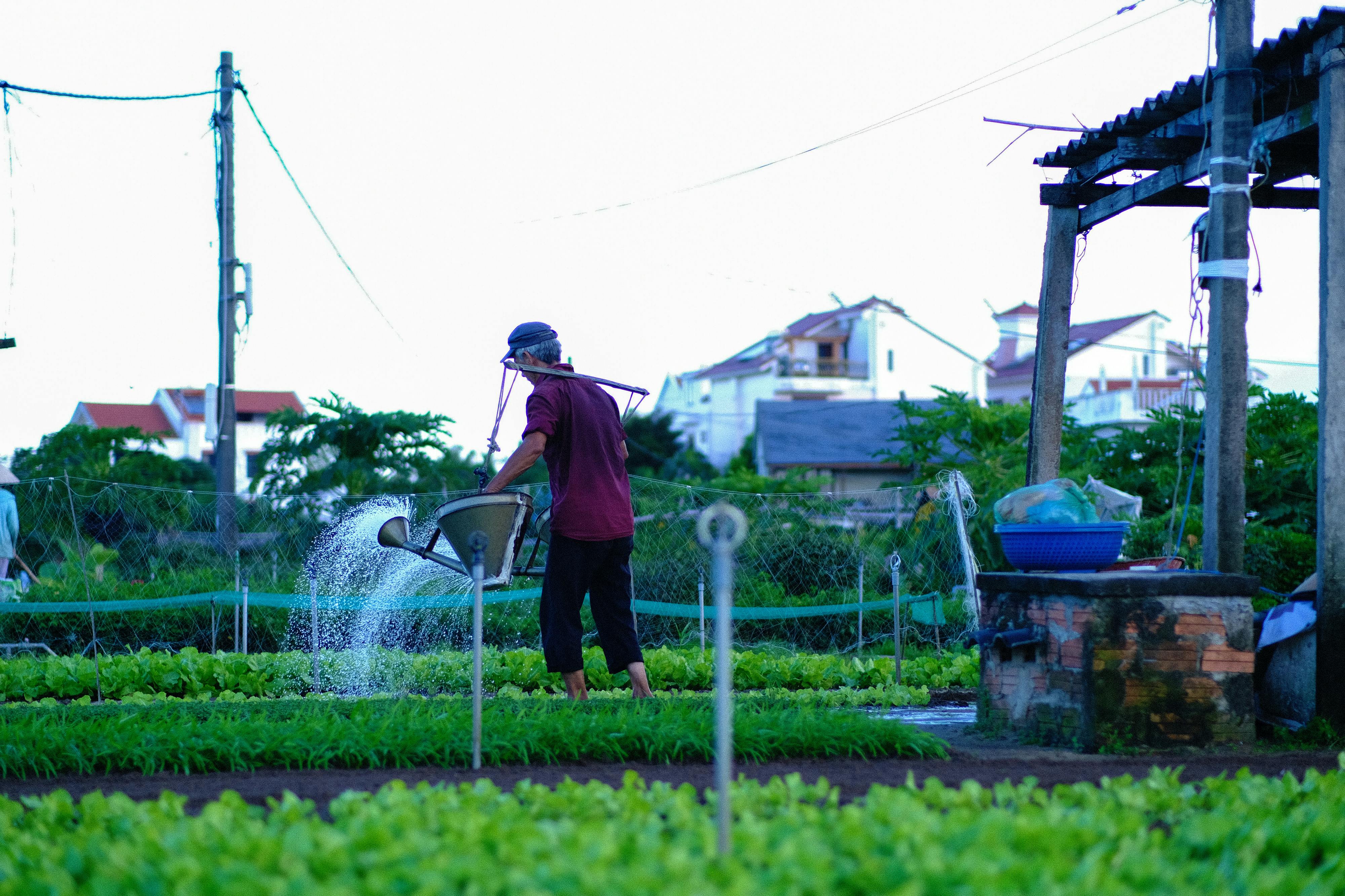 Trung tâm nghiên cứu văn học, phát triển nhà văn Việt Nam