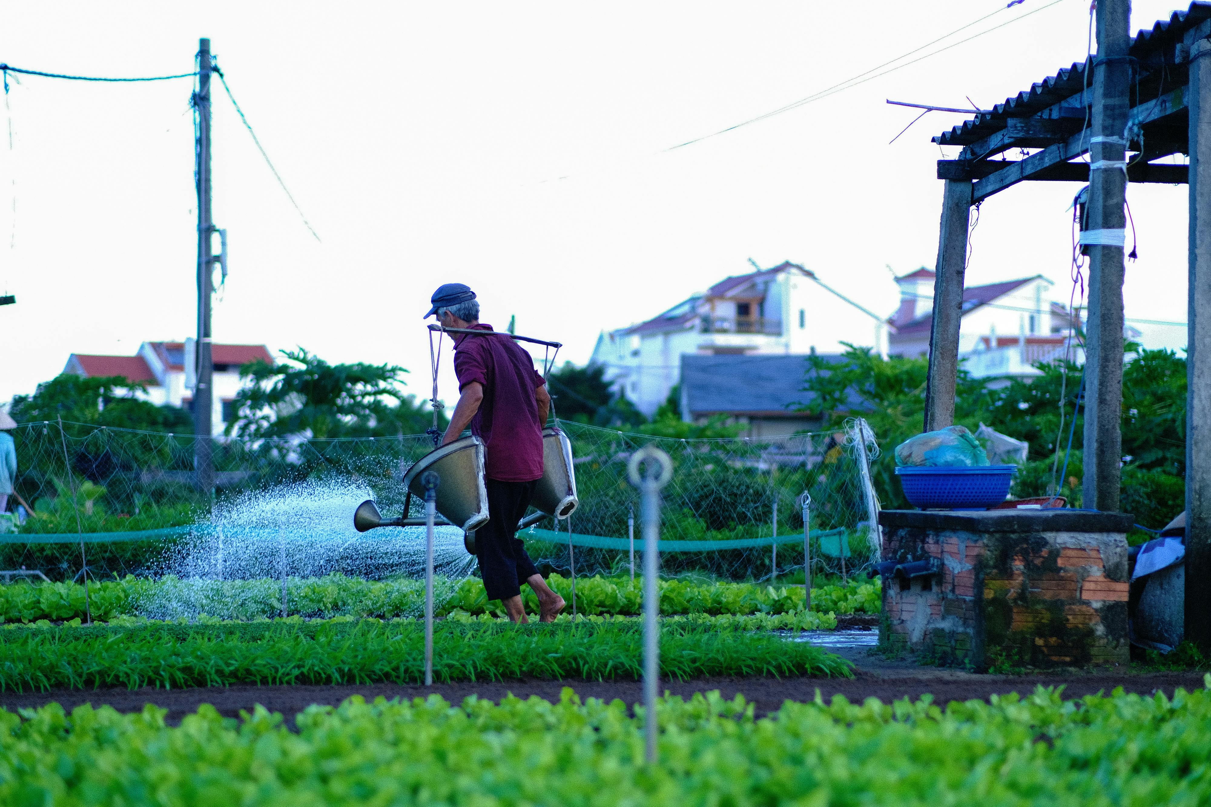 Danh sách theo thẻ nguoi-thay-cua-tinh-thuc-va-thuong-yeu