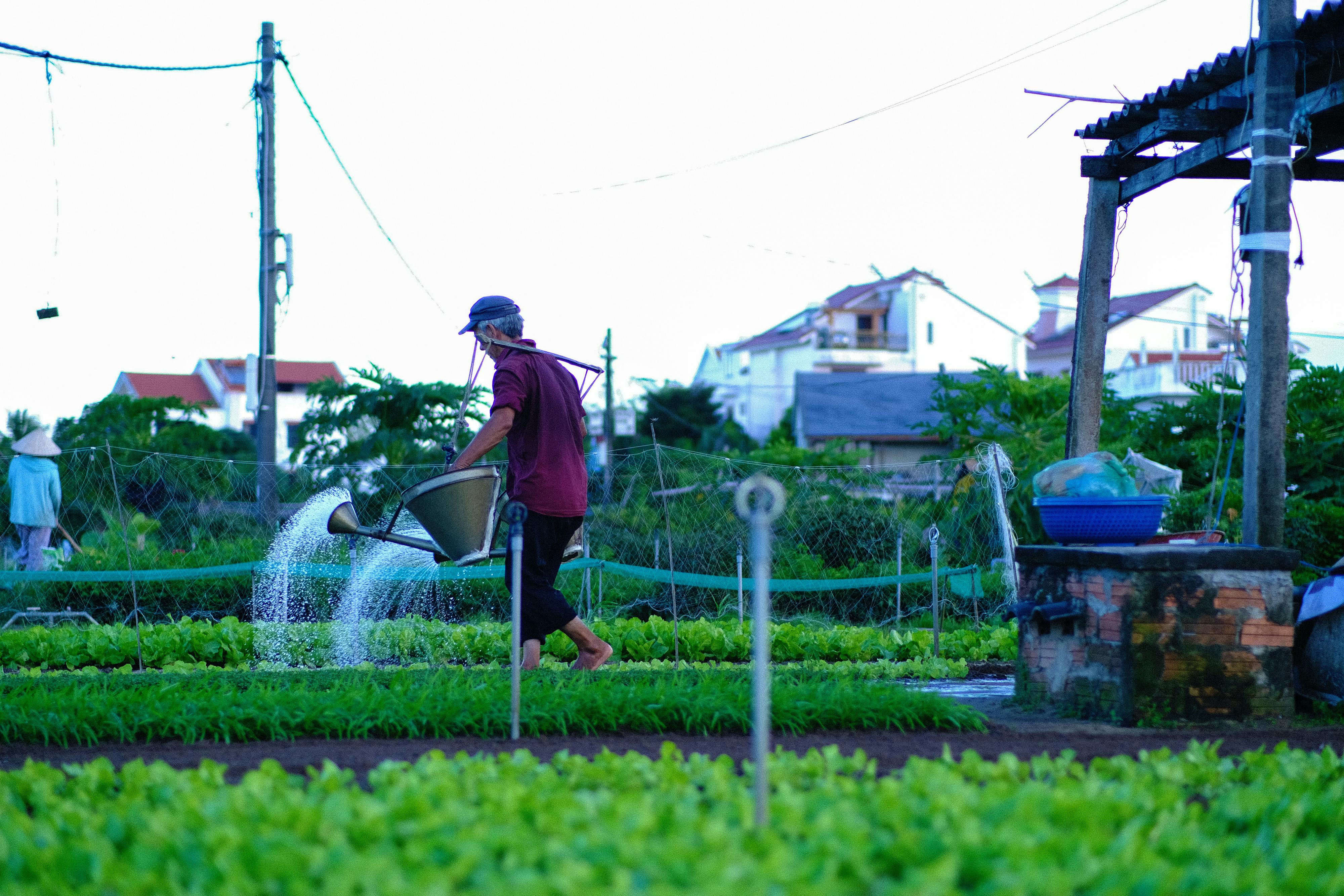 Trung tâm nghiên cứu văn học, phát triển nhà văn Việt Nam