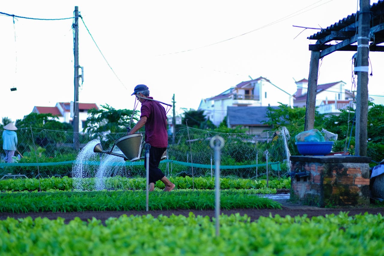 Chim lửa | Chương 07