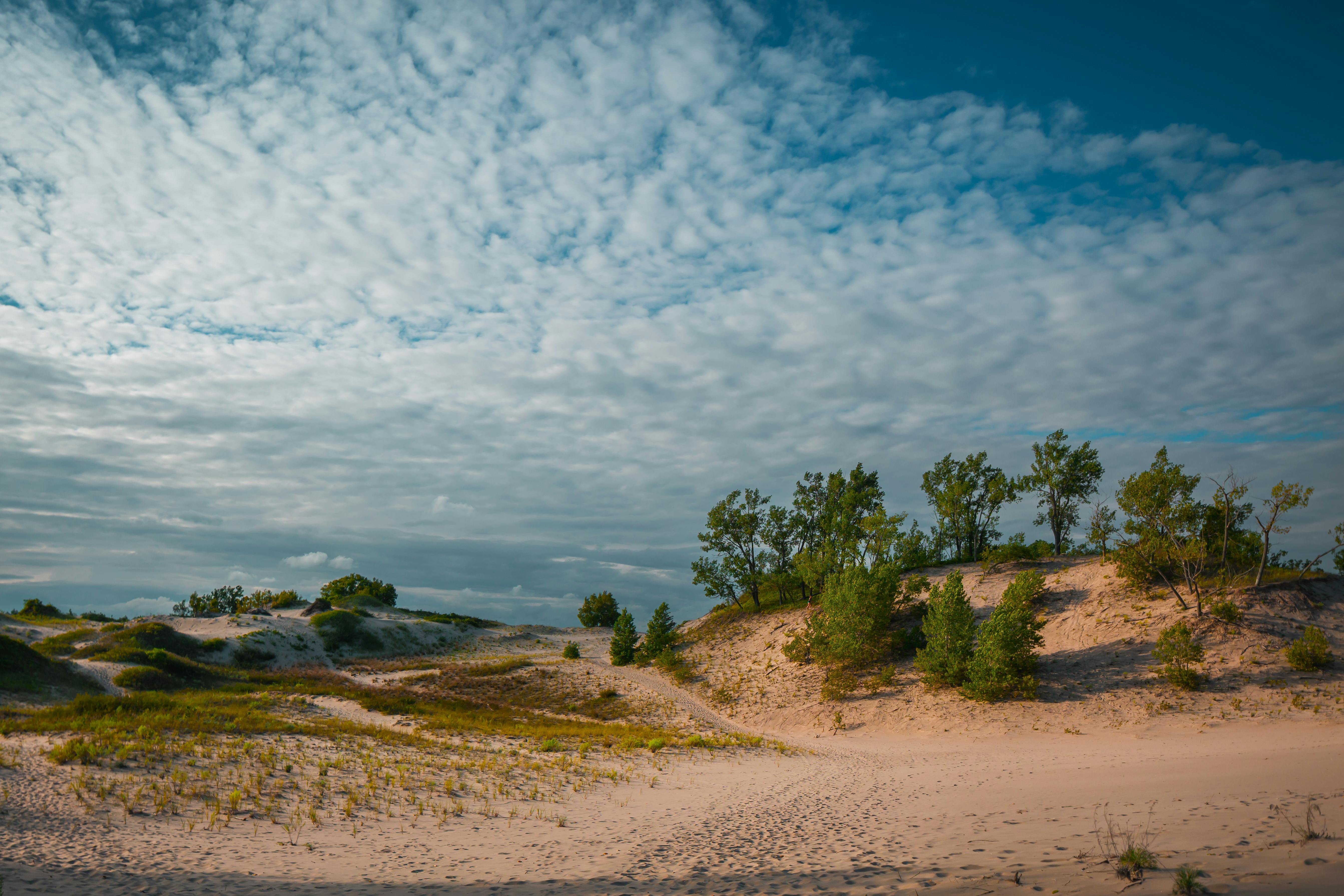 Prince Edward County