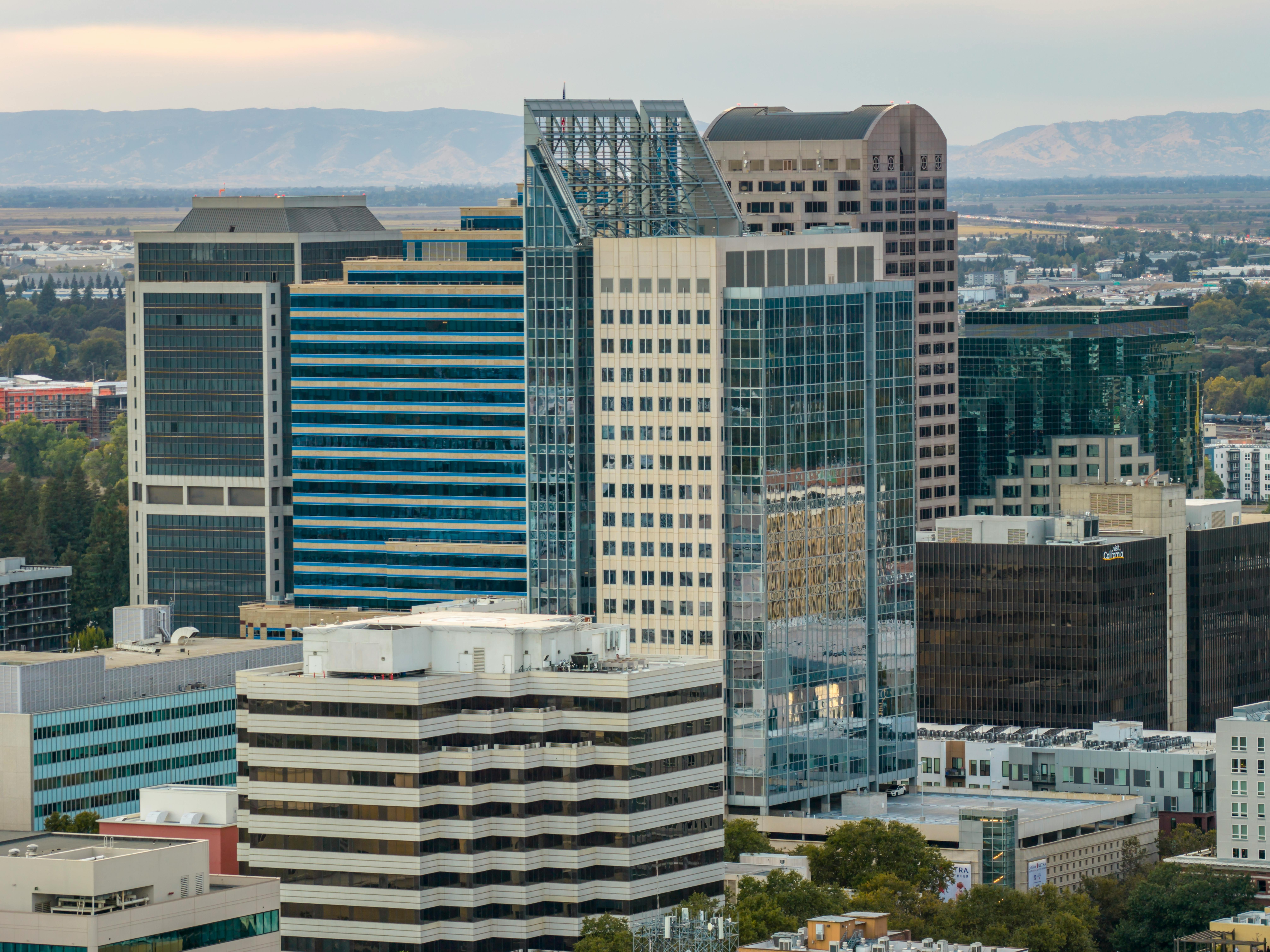 TRL begins search for new executive director — Photo by Stephen Leonardi on Pexels