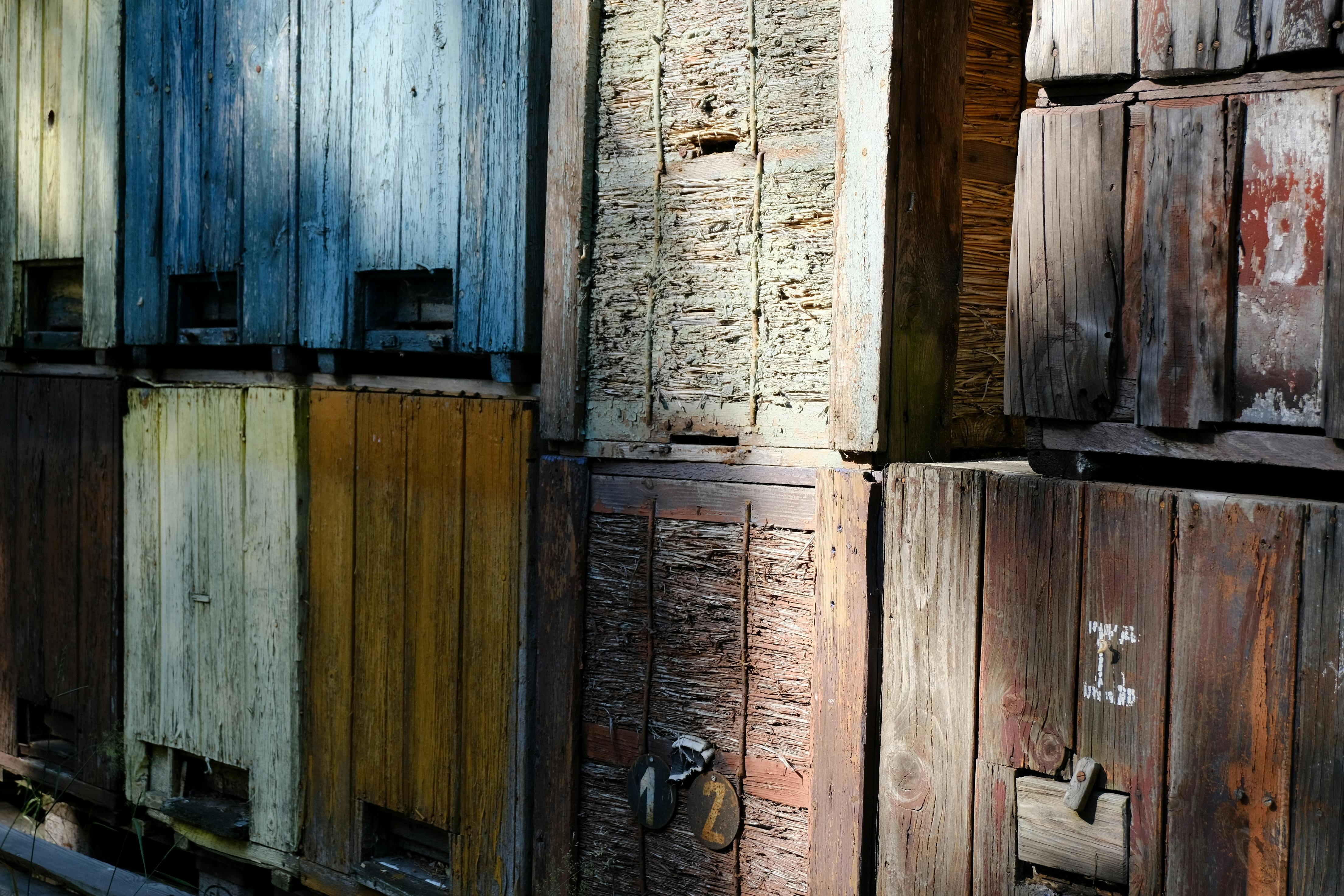 Gratis lagerfoto af alderen træ, bæredygtighed, baggårds biavl Lagerfoto