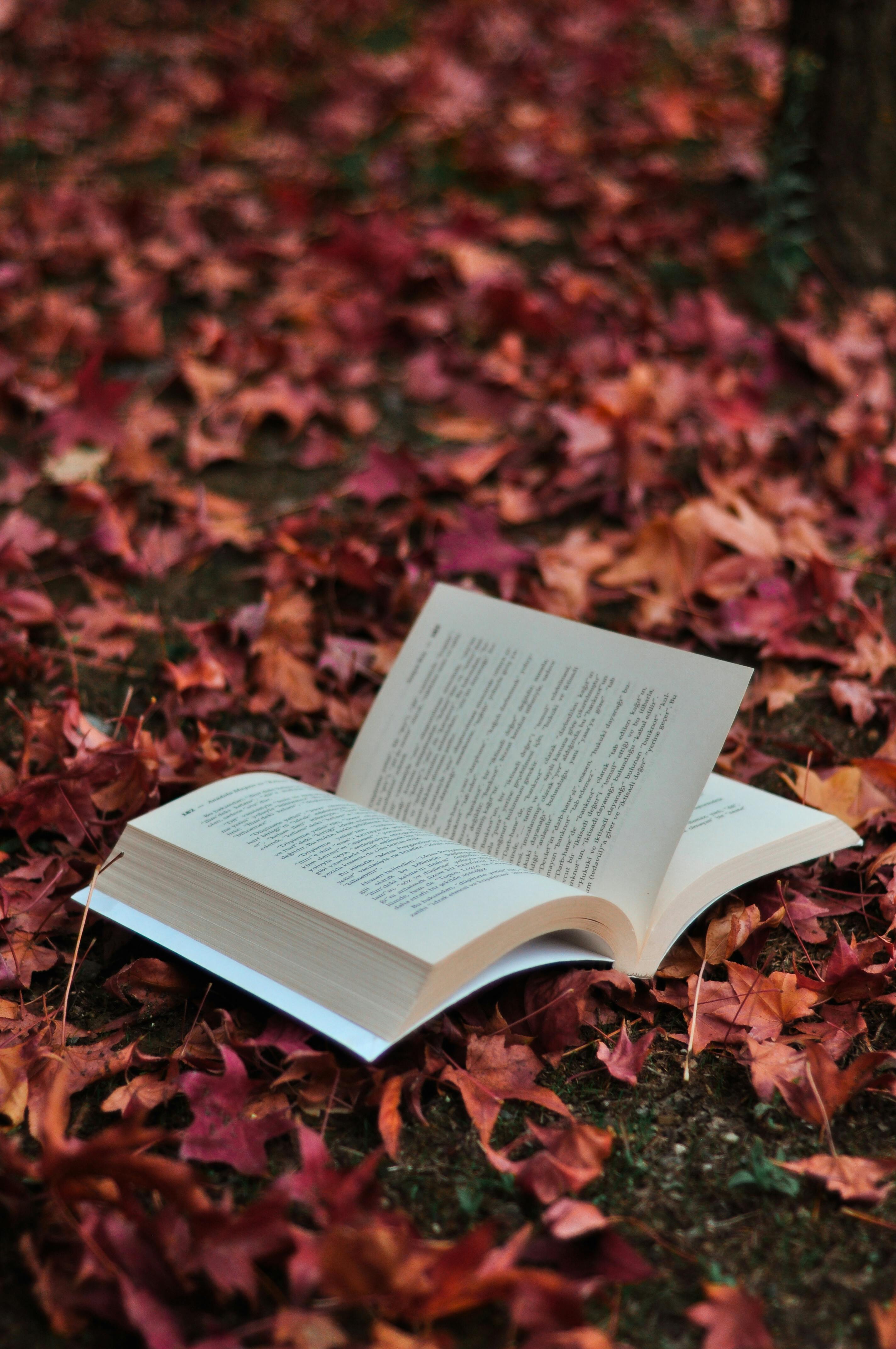 An open book resting on colorful autumn leaves, capturing the essence of fall.