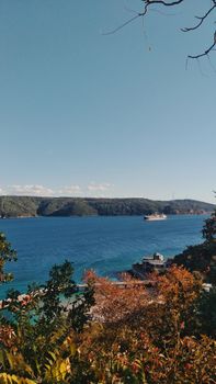 Breathtaking view of the Bosphorus Strait in Istanbul with clear skies and autumn foliage.