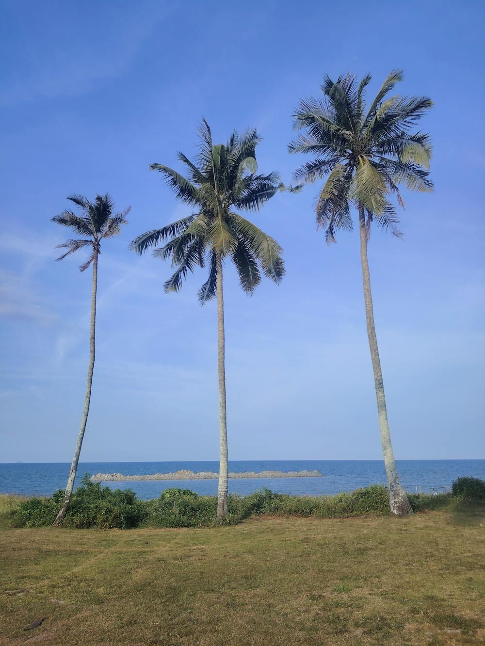 Island Paradise Punch