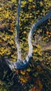 Aerial View of Curving Mountain Road in Almaty