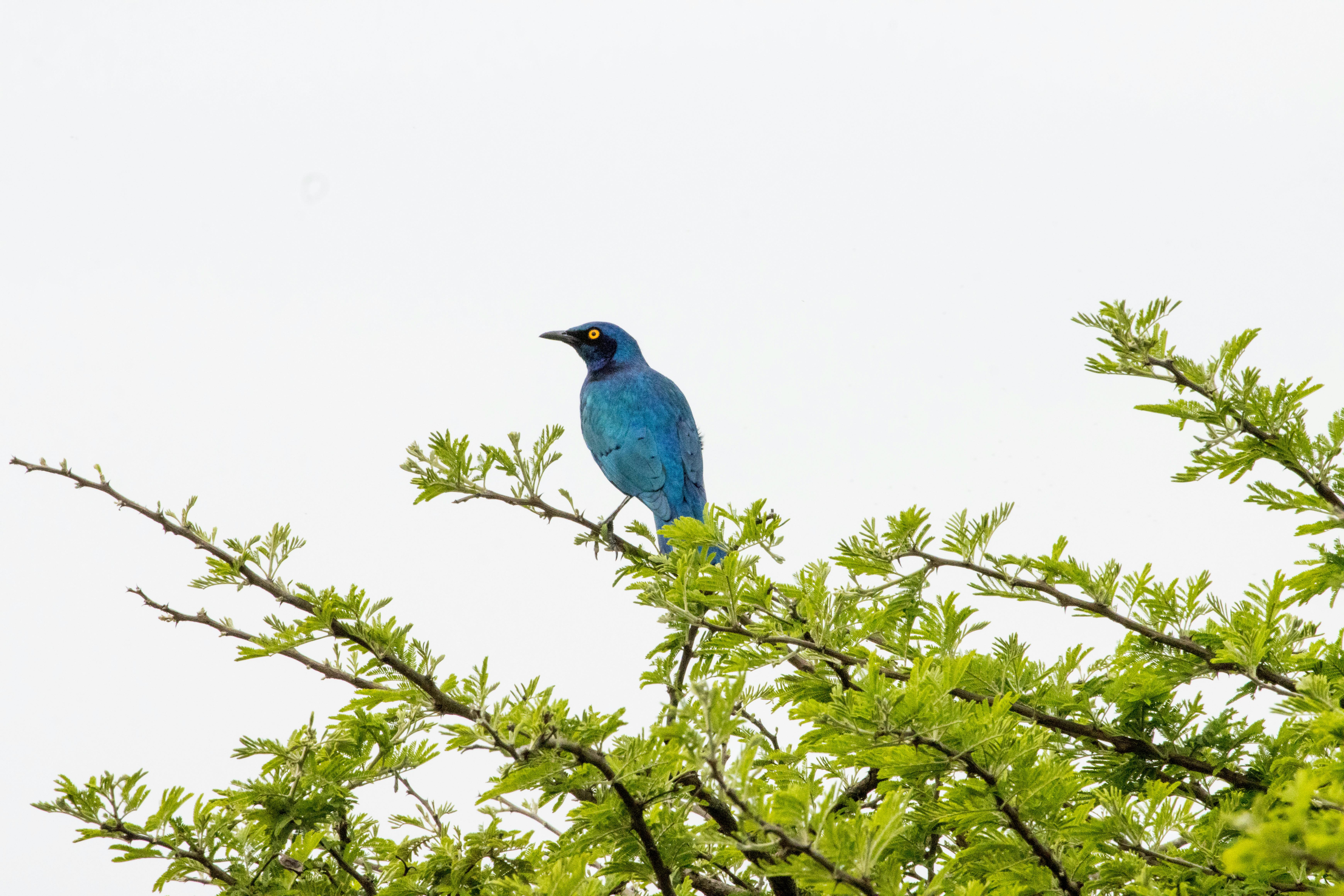 昱臺國際競拍均價25.62元 申購門檻低報酬率逾35％