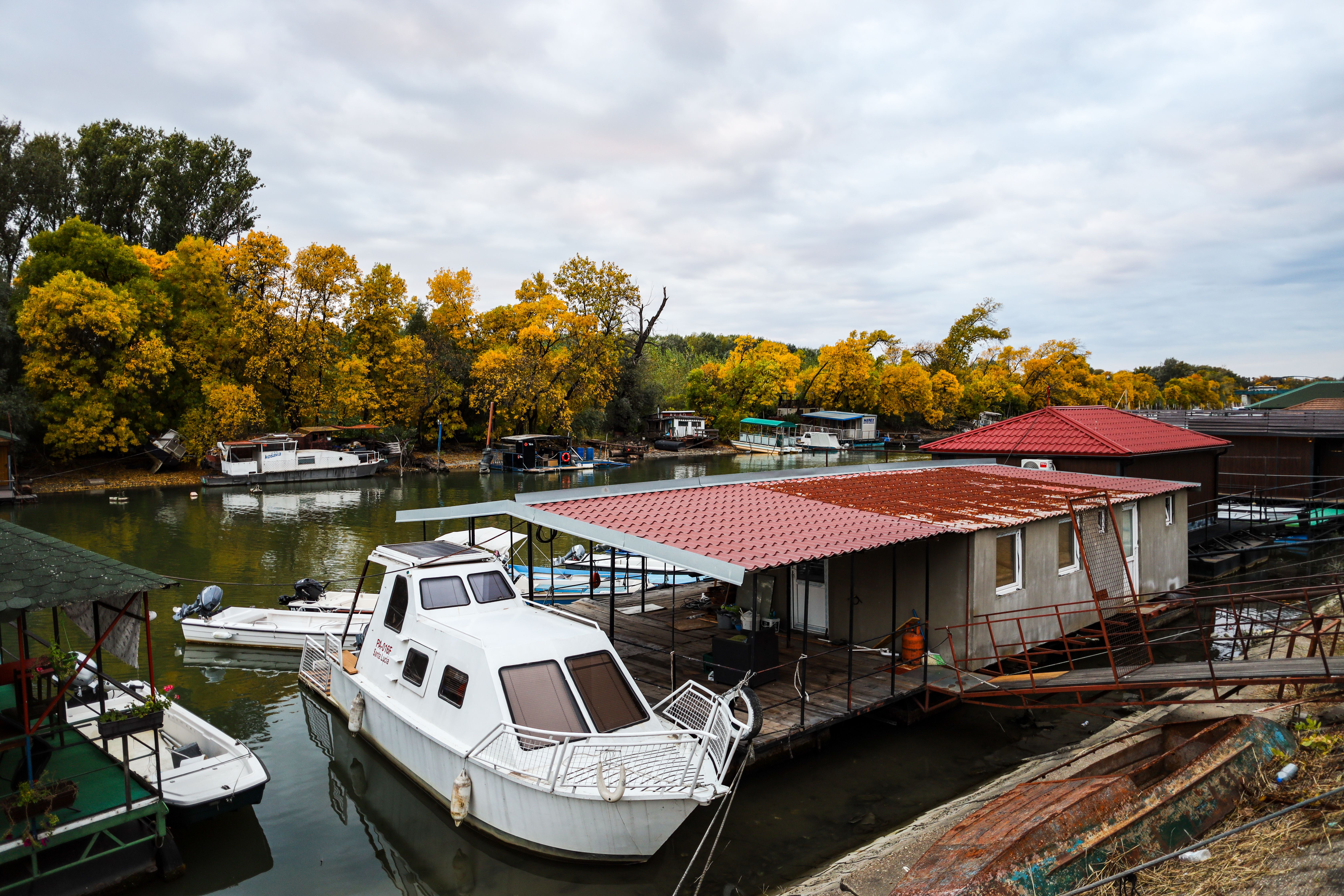 Unleash Your Inner Captain The Ultimate Guide To Finding The Perfect Century Boat For Sale