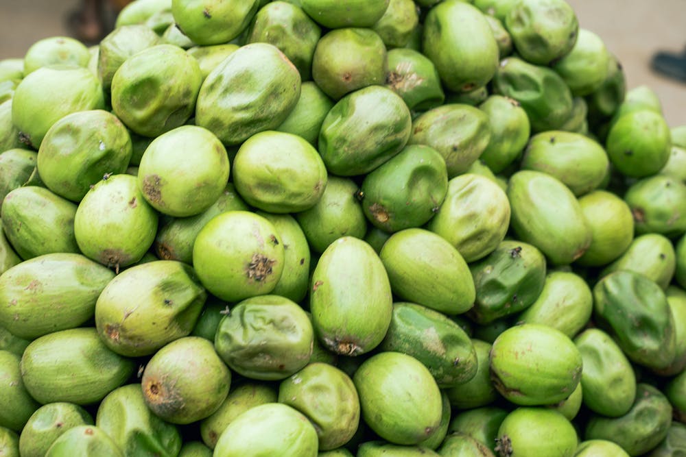 Harvest Veggie Pizza