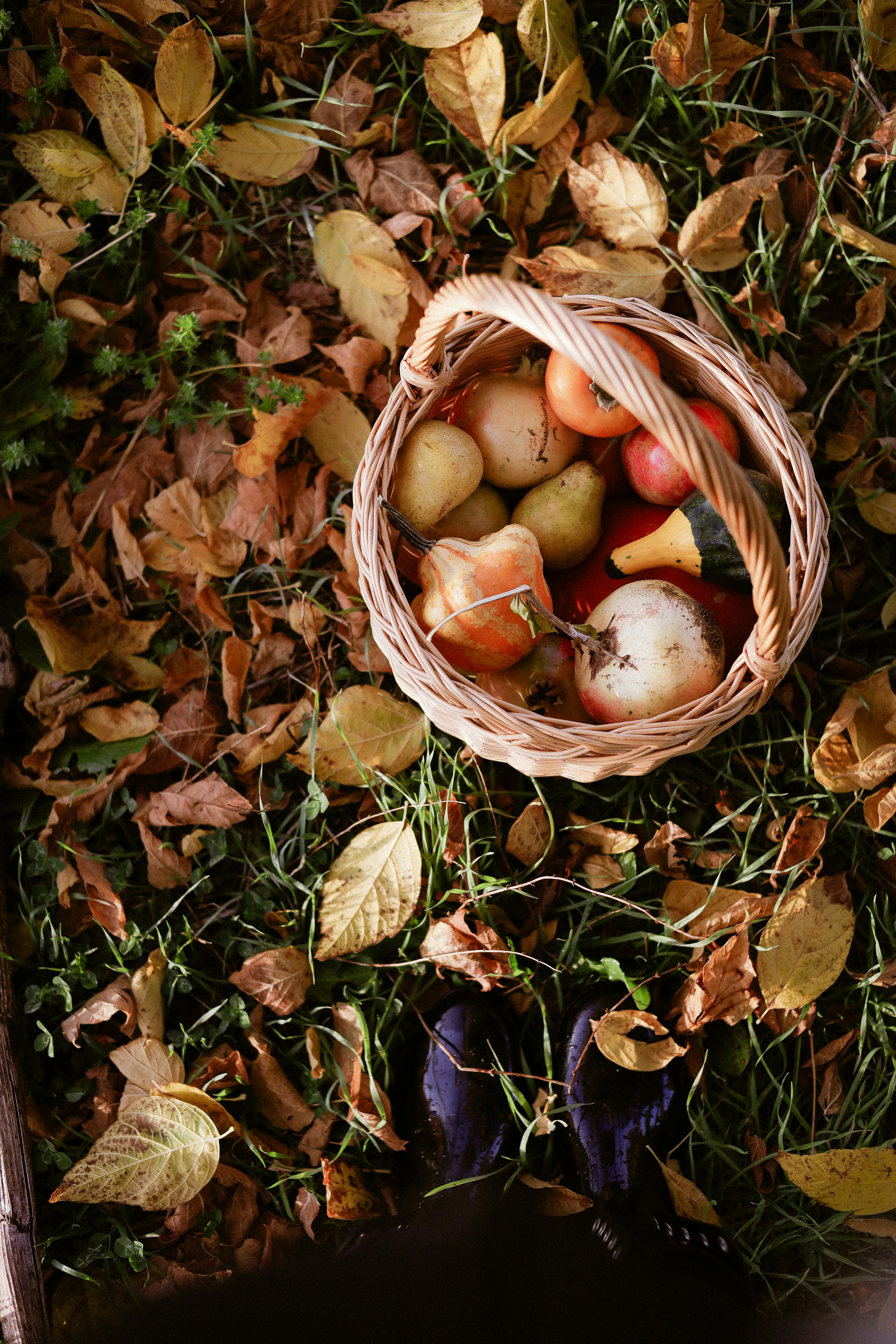 Basket of fresh fruits among fallen autumn leaves, symbolizing harvest.