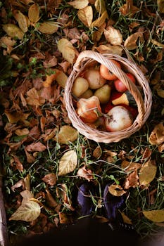 Basket of fresh fruits among fallen autumn leaves, symbolizing harvest.