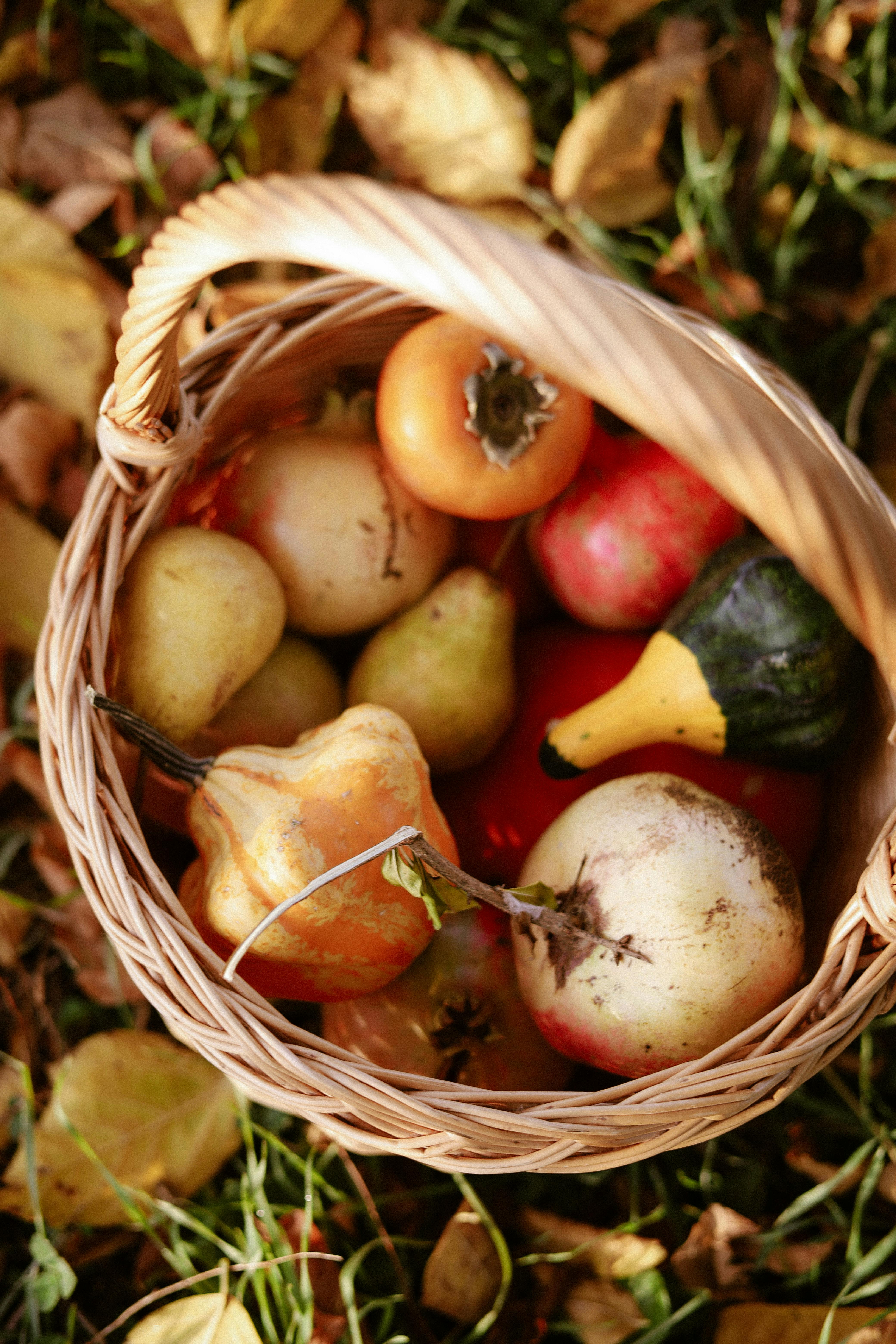 Blogging Bounty