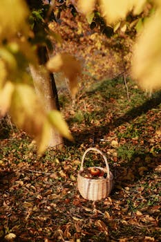 A wicker basket filled with apples sits among autumn leaves in an orchard.
