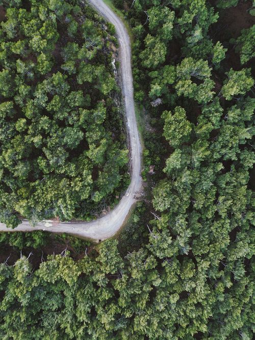 Free An aerial view of a winding road cutting through a dense summer forest. Stock Photo