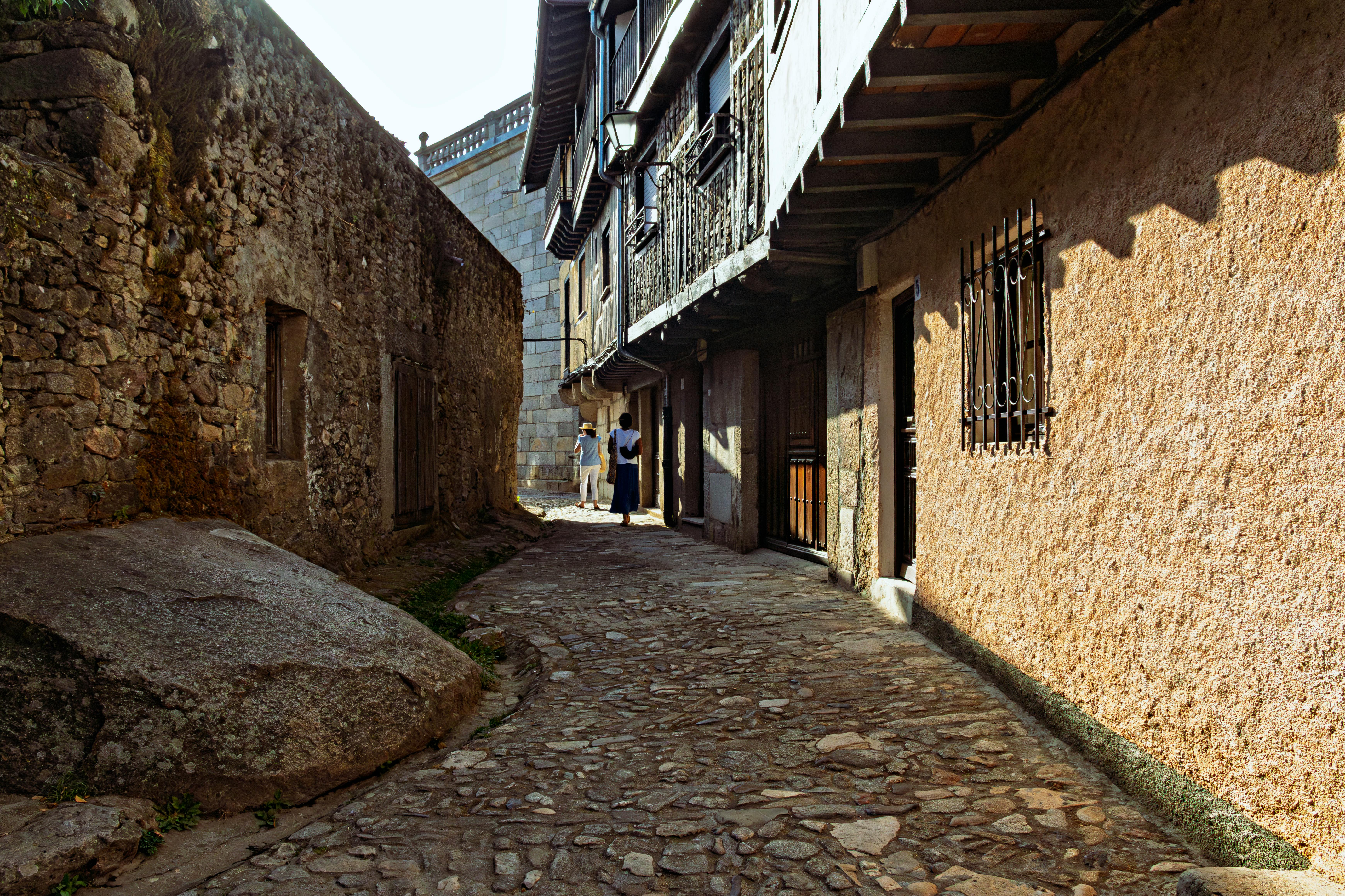 ¿Qué Tipos de Becas Están Disponibles y Cómo Elegir la Mejor para Ti?