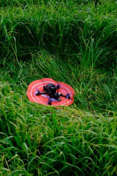 A drone rests on a bright red landing pad amidst lush green grass, outdoors.