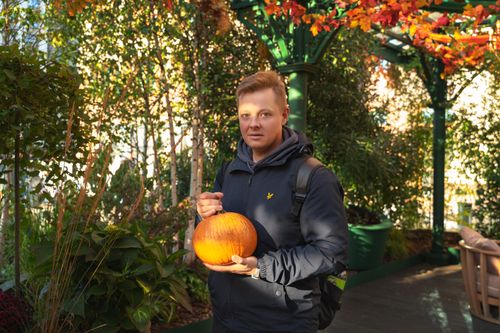 Free A man holding a pumpkin stands in a colorful autumn garden filled with foliage. Stock Photo