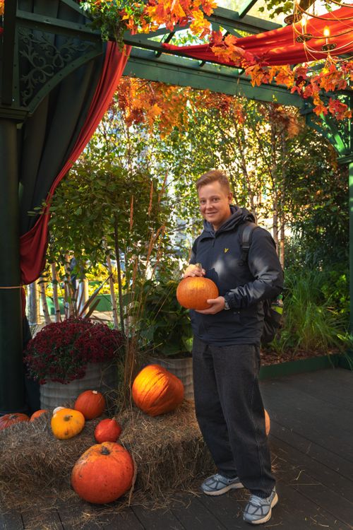 Free Man holding a pumpkin in a vibrant autumn display with hay bales and fall leaves. Stock Photo