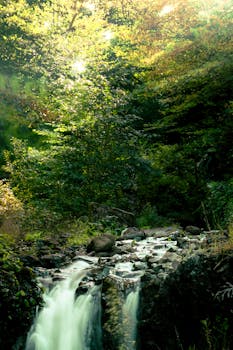 Photo by Osman İçli Mālama Kula Hosts DWS Chief Engineer to Discuss Upcountry Water System