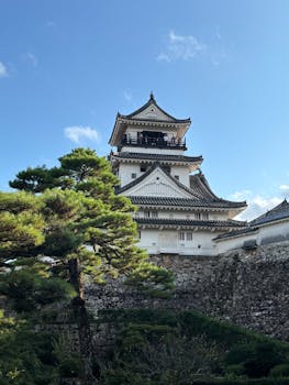 Explore the timeless elegance of Kochi Castle, a masterpiece of Japanese architecture in Kochi, Japan.