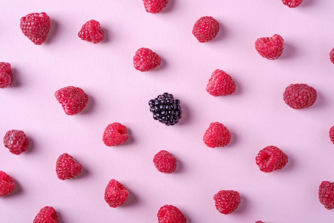 Gratis arkivbilde med bær, blackberry, bringebær