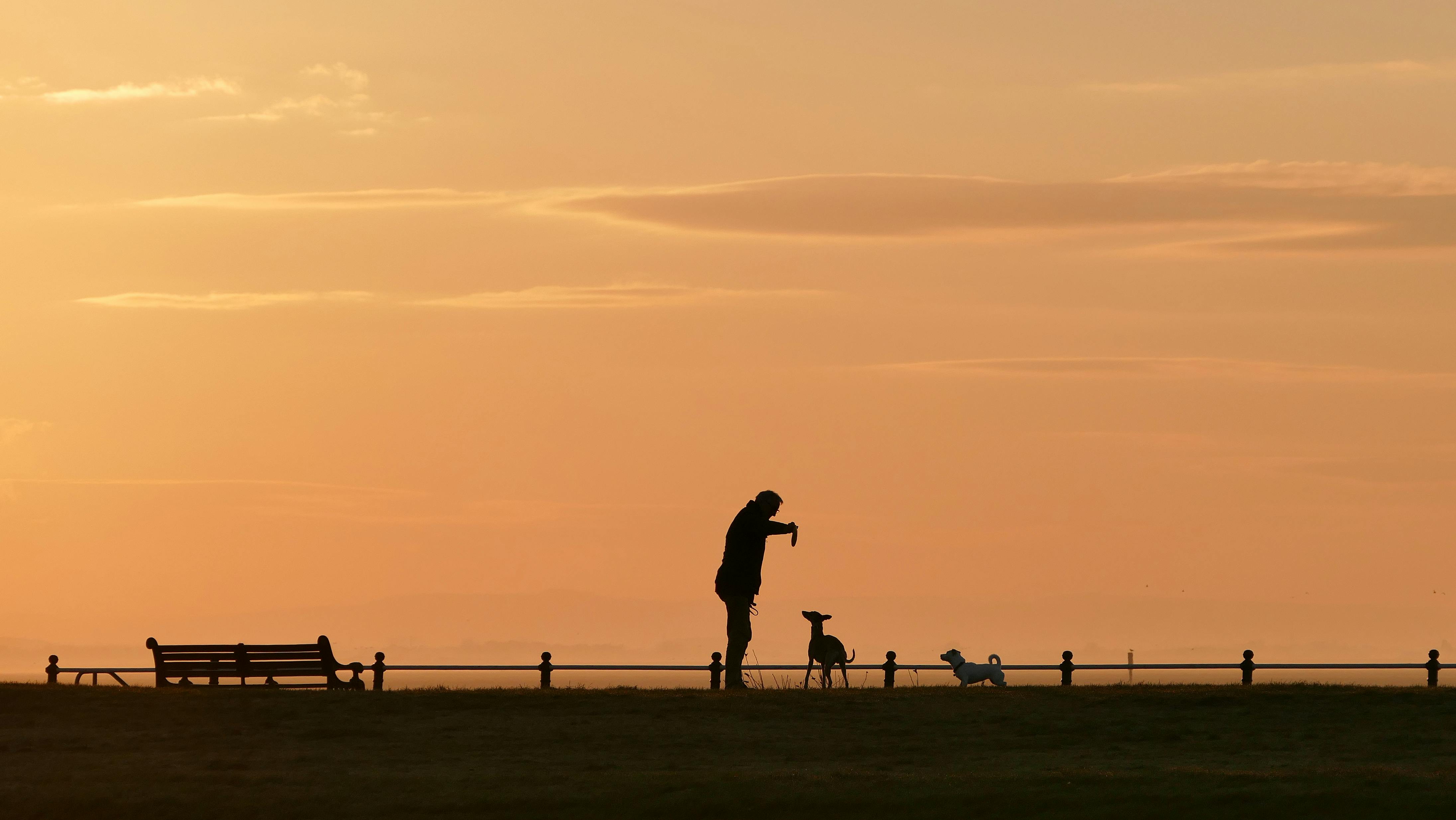 Silhouette of a dog owner with pets on Lytham St Annes beach promenade at sunset.