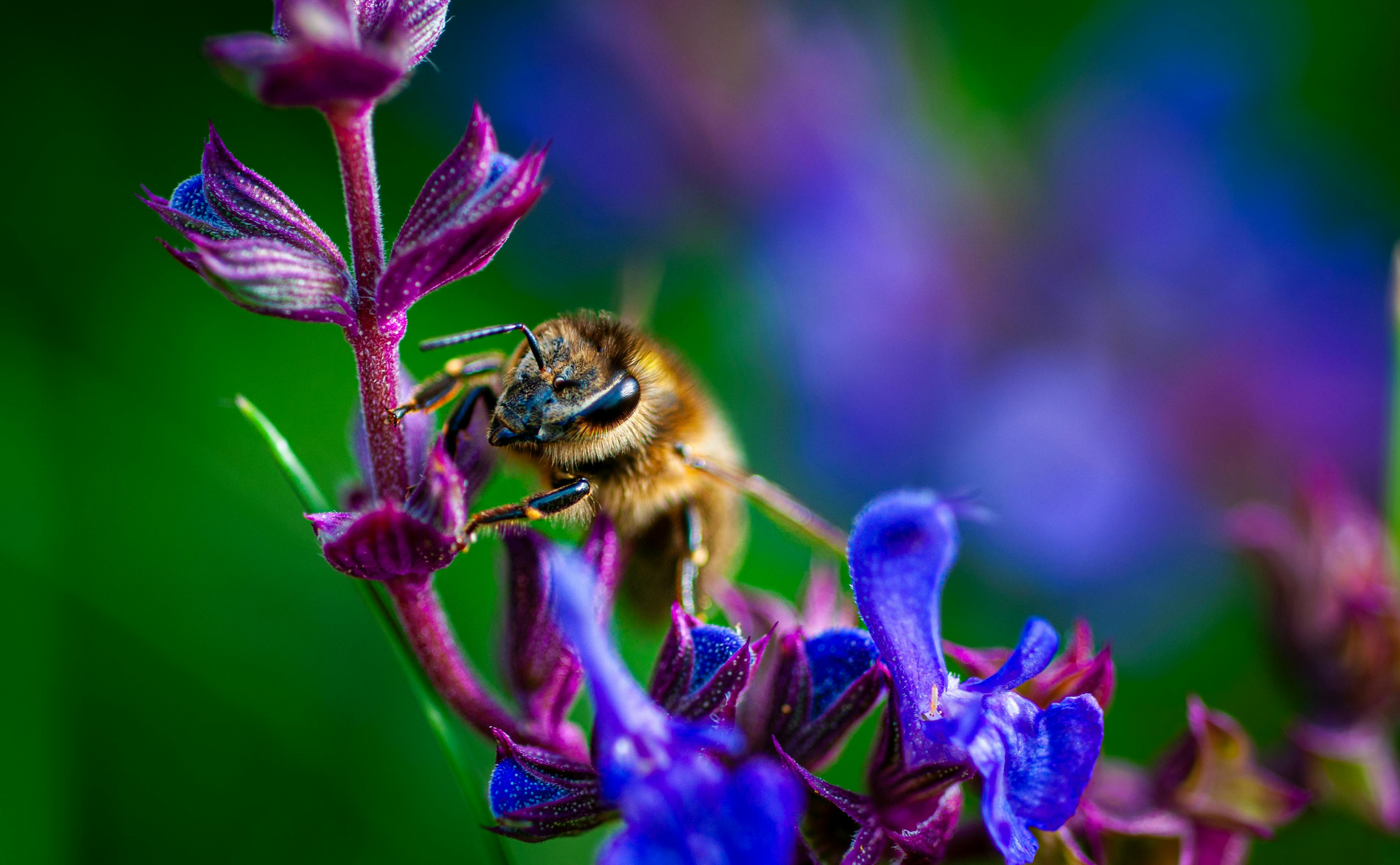 Ark Valley Civics Bee Competition to Send Three Local Students to State — Photo by Leon Debald on Pexels