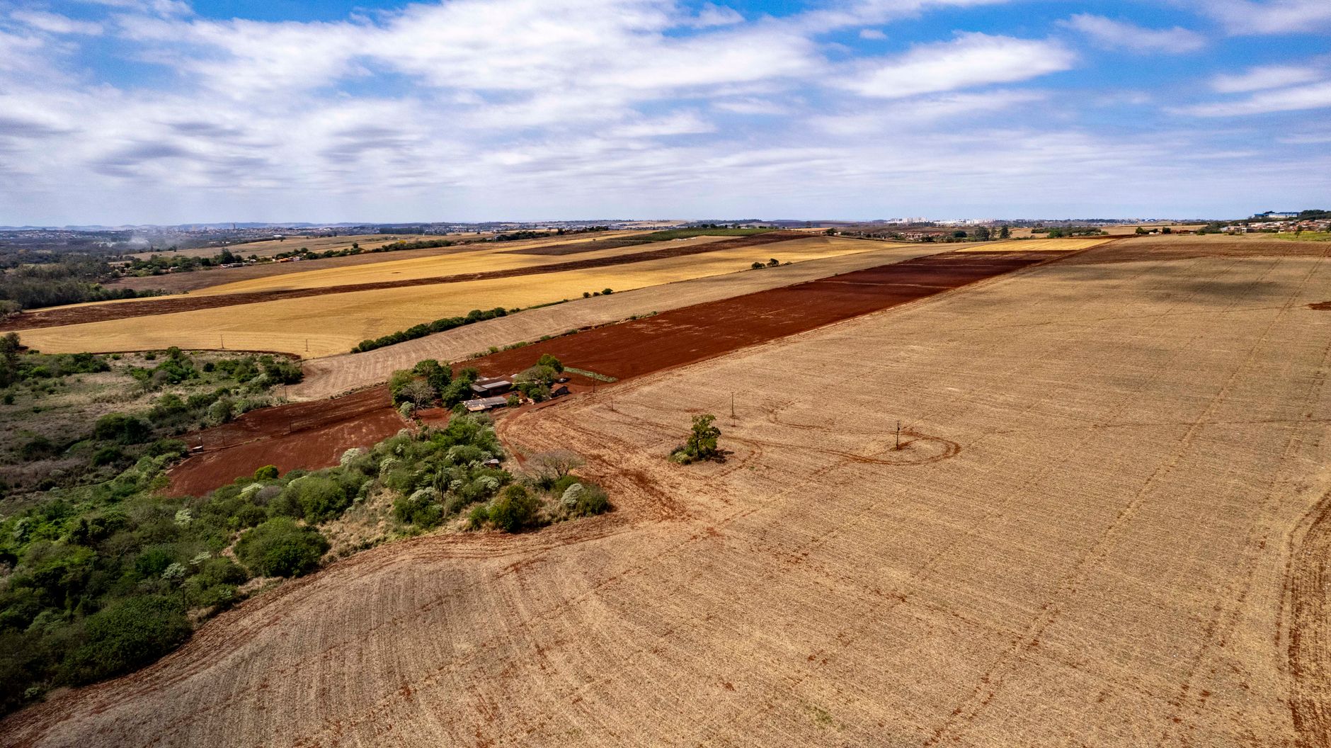 Estado de emergencia agropecuario declarado en Santa Cruz