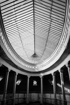 A striking black and white image of an elegant architectural ceiling with ornate columns.