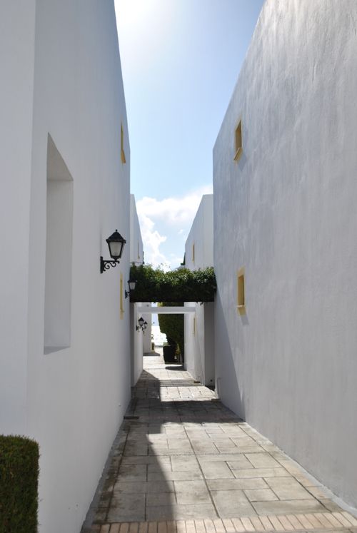Free Discover a serene Mediterranean-style alley with white walls and lush greenery under bright sunlight. Stock Photo