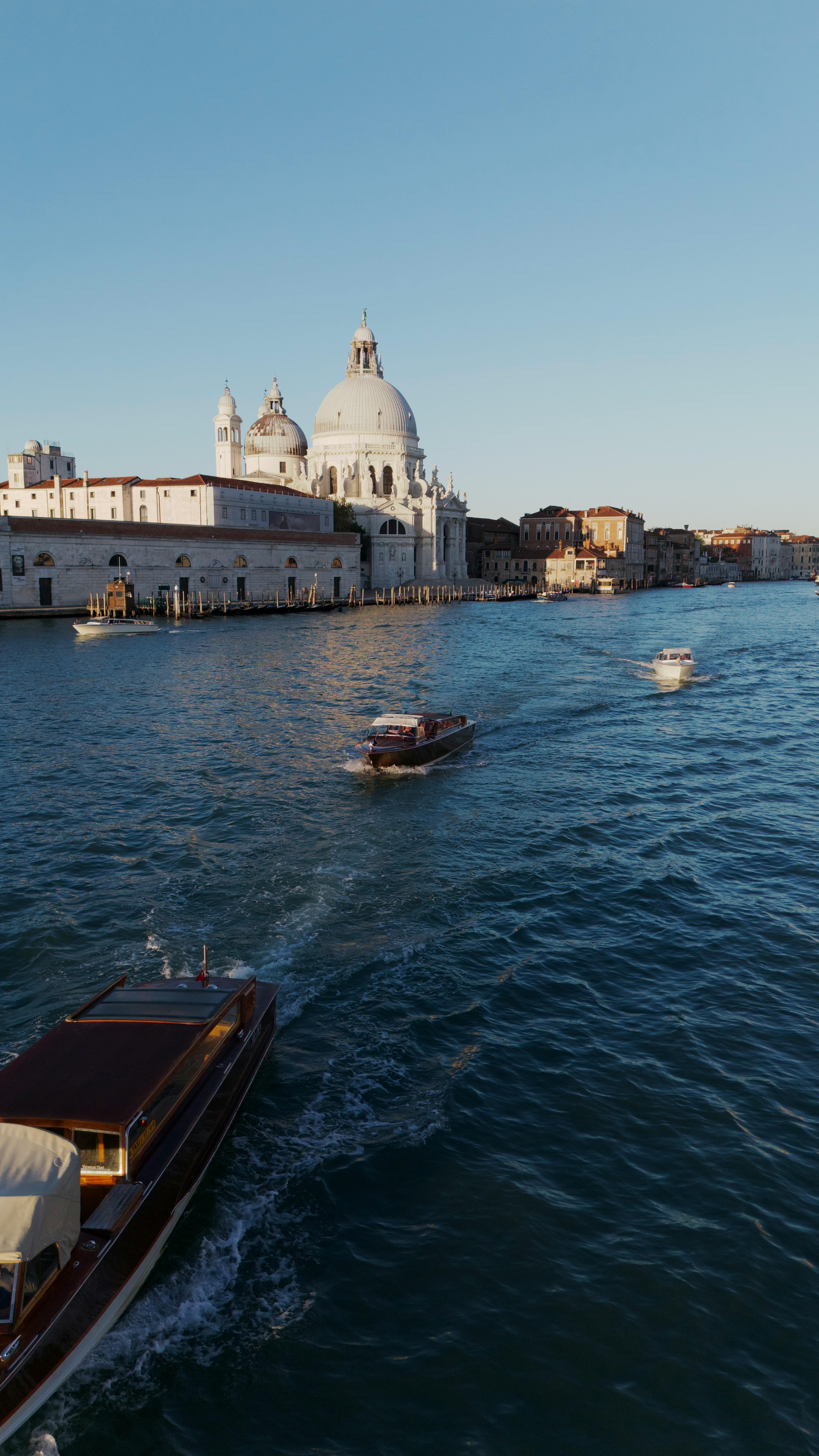 grátis Padrão Foto profissional