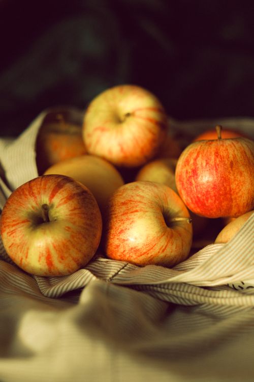 Free A collection of ripe red-veined apples in soft light, nestled in cloth. Stock Photo