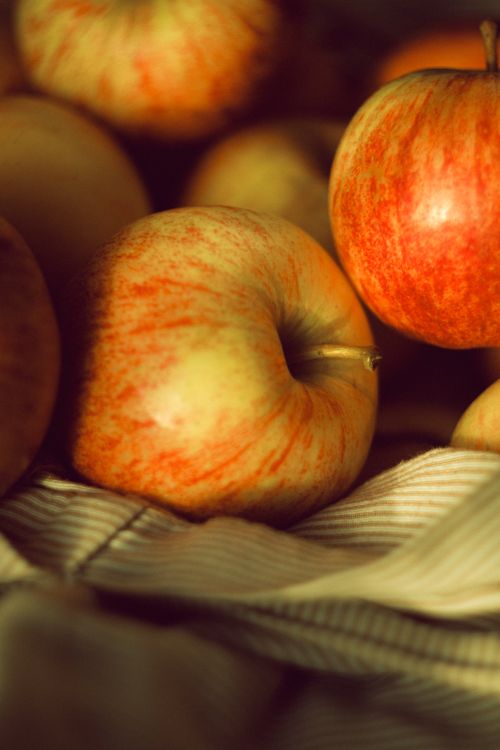 Free Close-up of fresh apples on a striped cloth with warm lighting, perfect for autumn themes. Stock Photo