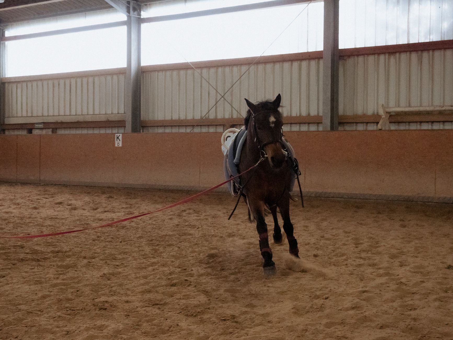 Ferme de Cery - Ateliers approche du cheval