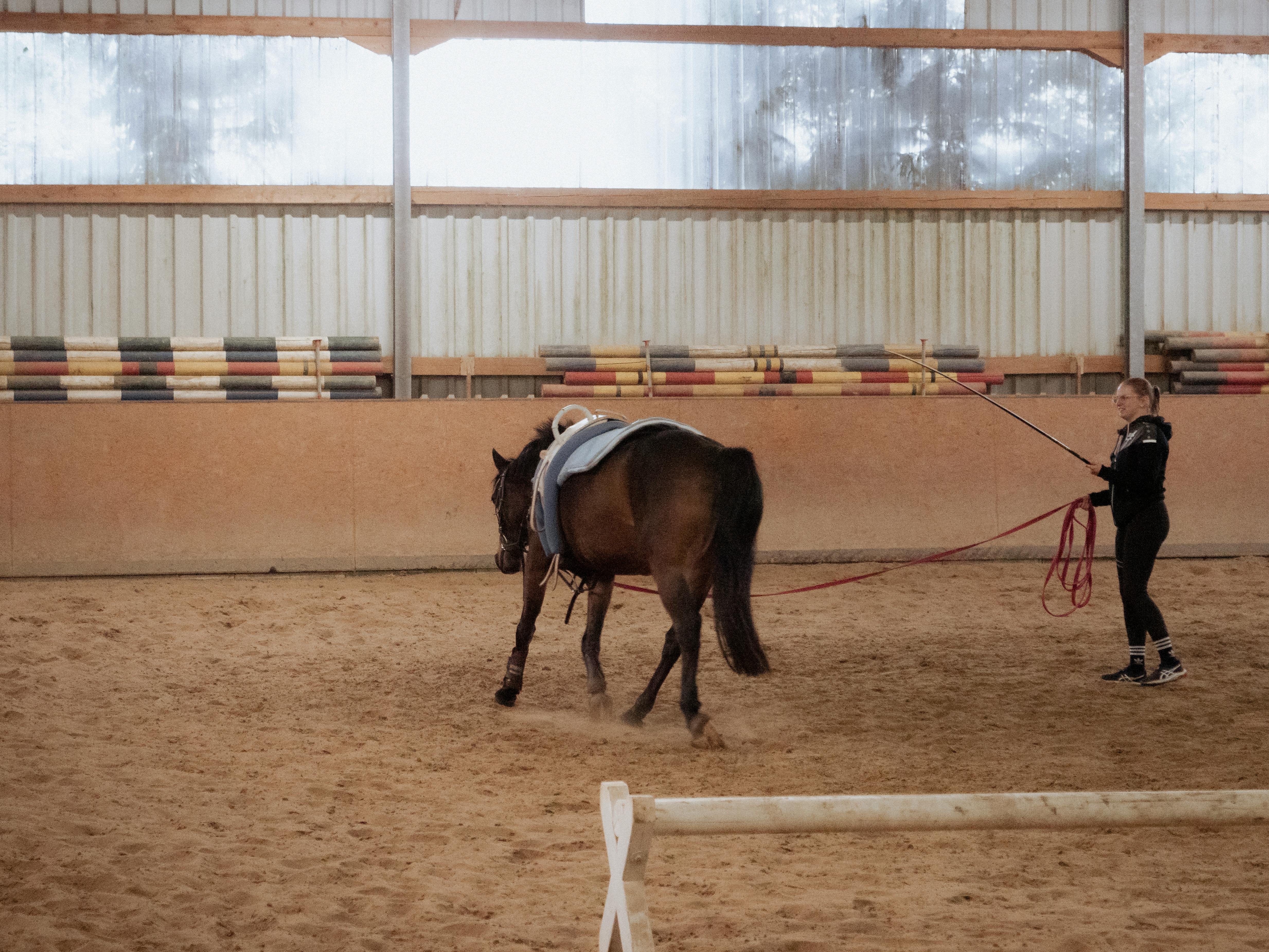 Choosing Tack for the Dressage Horse