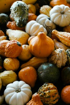 A vibrant collection of assorted ornamental gourds under warm, natural light, perfect for autumn decor inspiration.