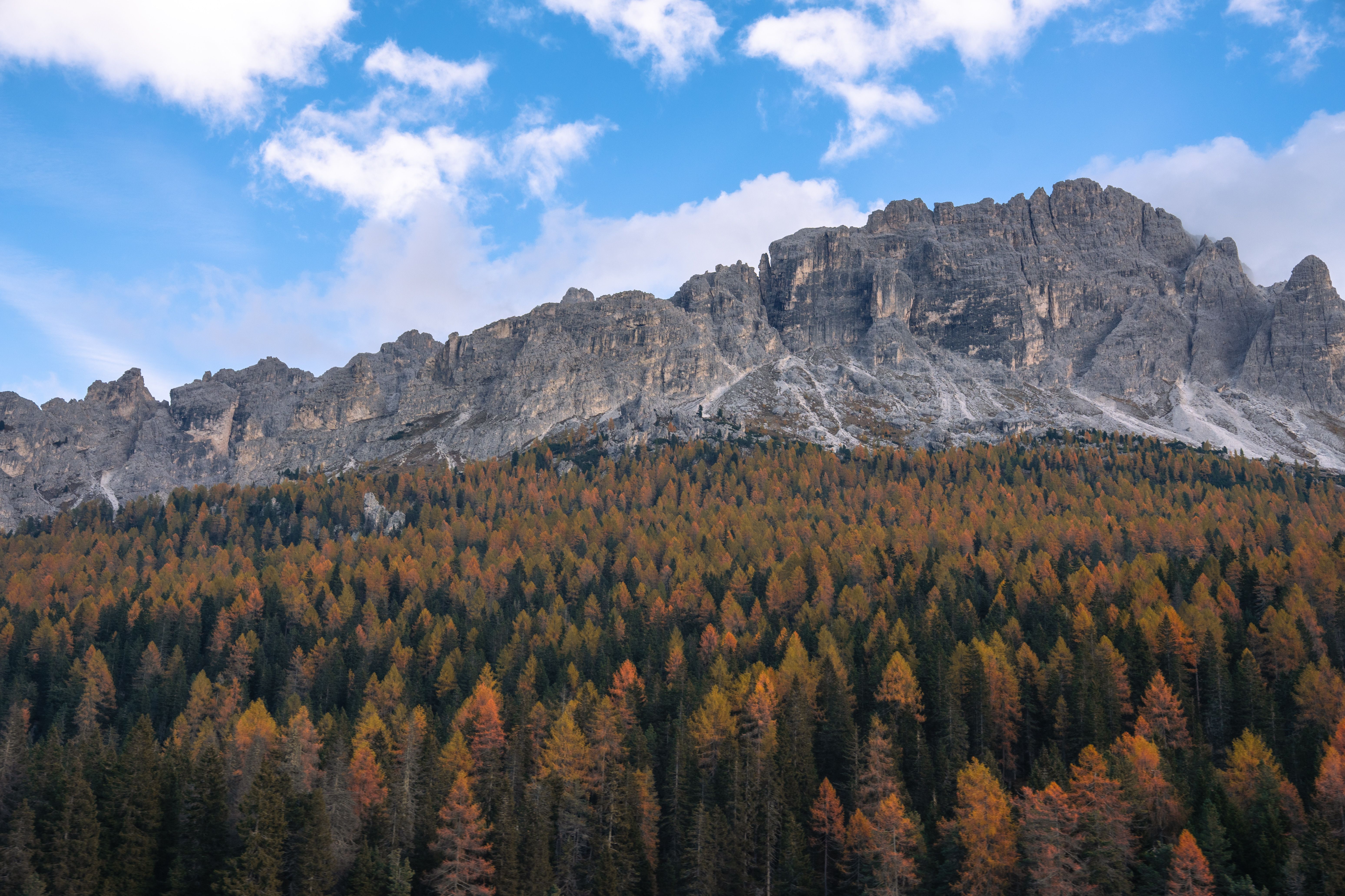 Autumn Foliage and Rugged Mountain Landscape · Free Stock Photo