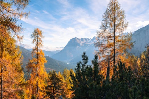 Spectacular view of golden autumn trees with the Alps in the background under a clear blue sky.