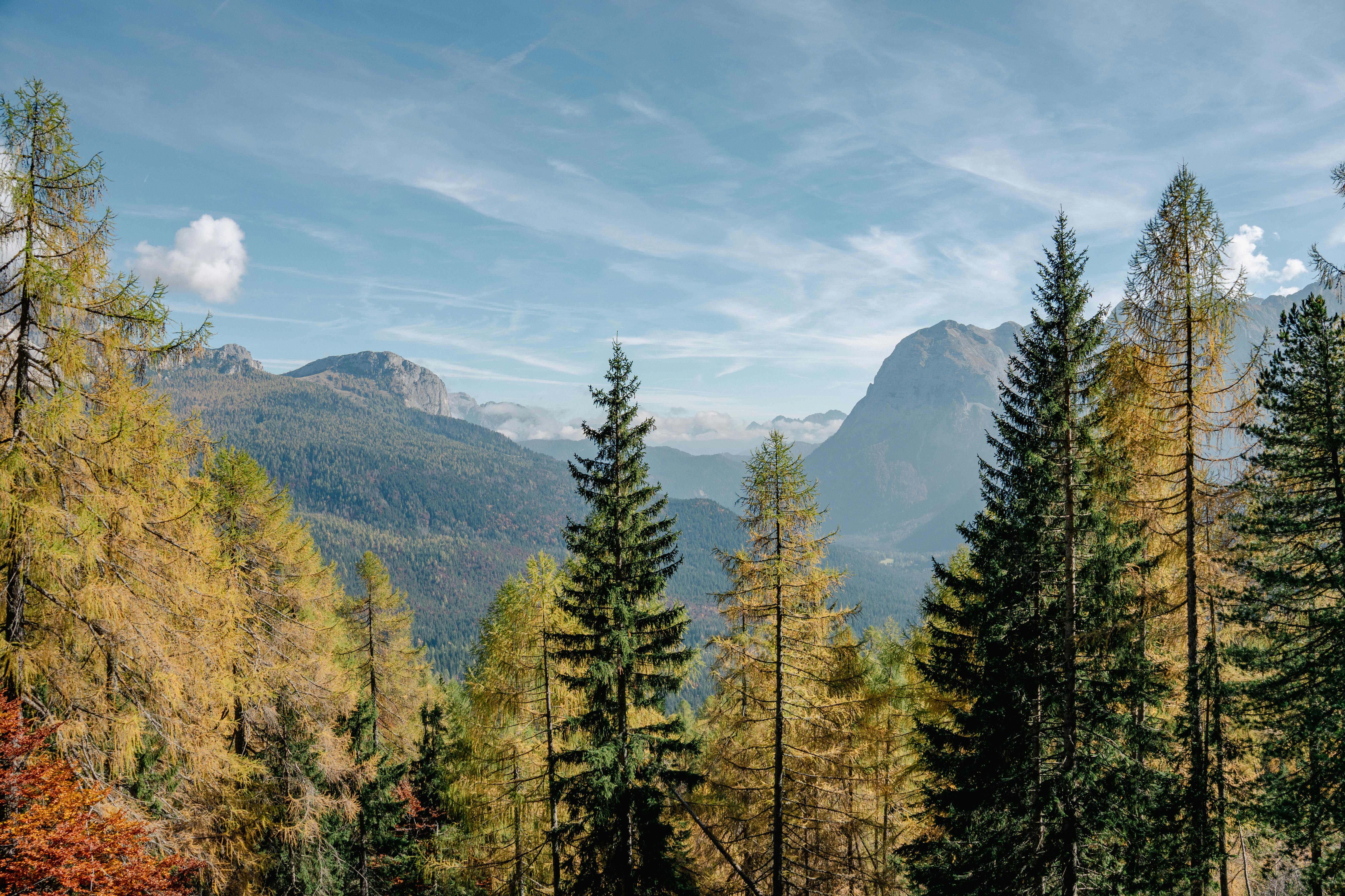 Understanding Climate Change Tipping Points: Critical Moments for Our Planet