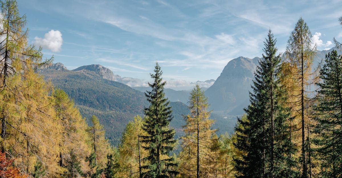 Impact du Réchauffement Climatique sur le Tourisme